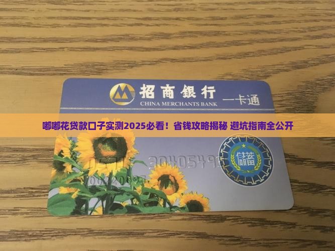 嘟嘟花贷款口子