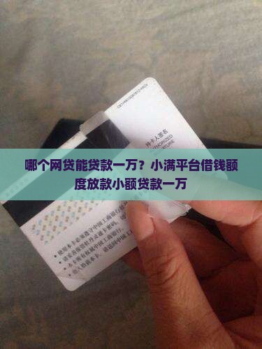 哪个网贷能贷款一万的