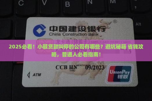 小额贷款叫停的公司
