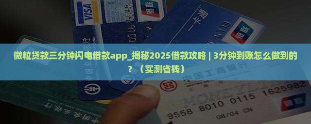 微粒贷款三分钟闪电借款app