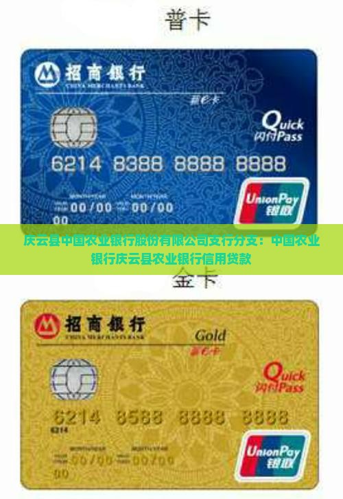 庆云县农业银行信用贷款