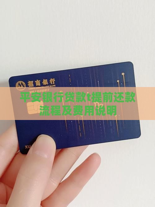 平安银行贷款t