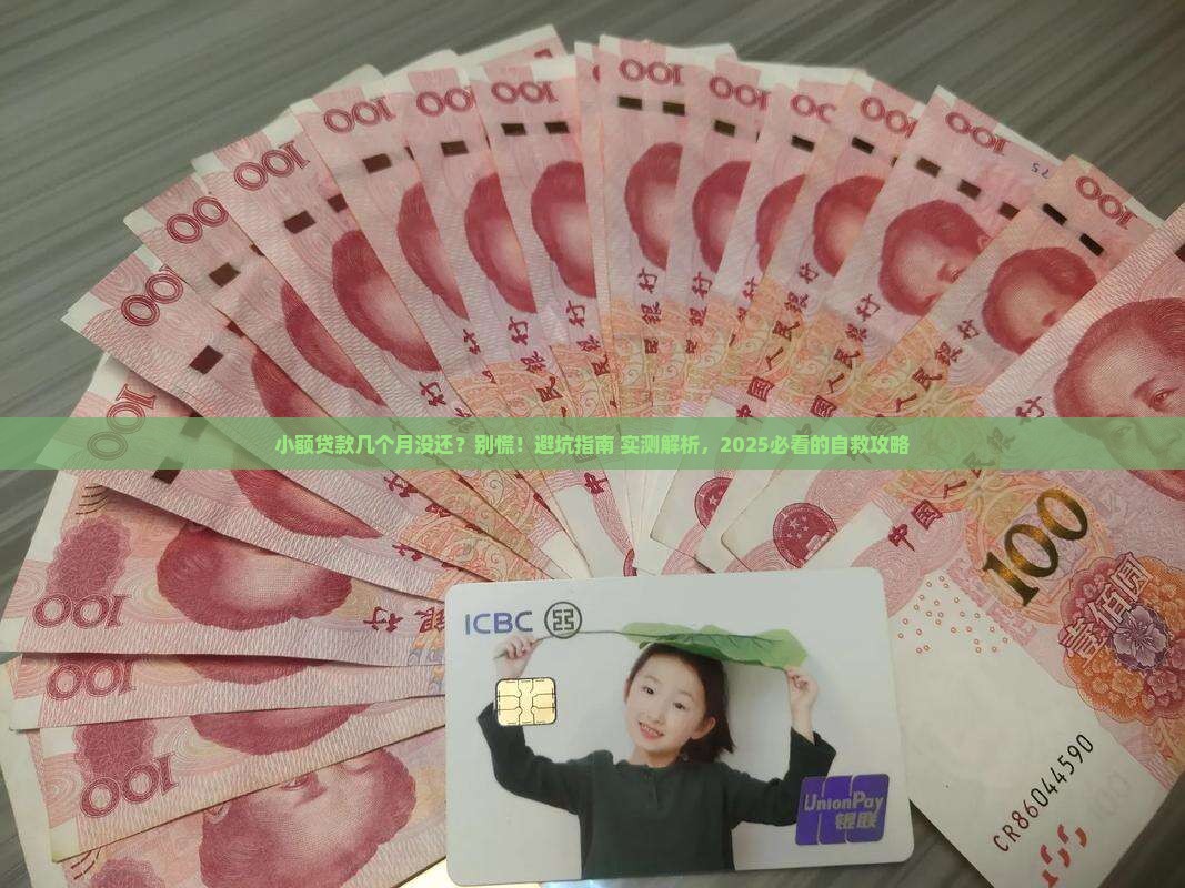 小额贷款几个月没还