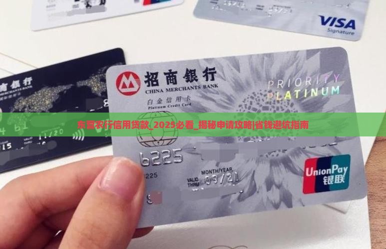 东营农行信用贷款