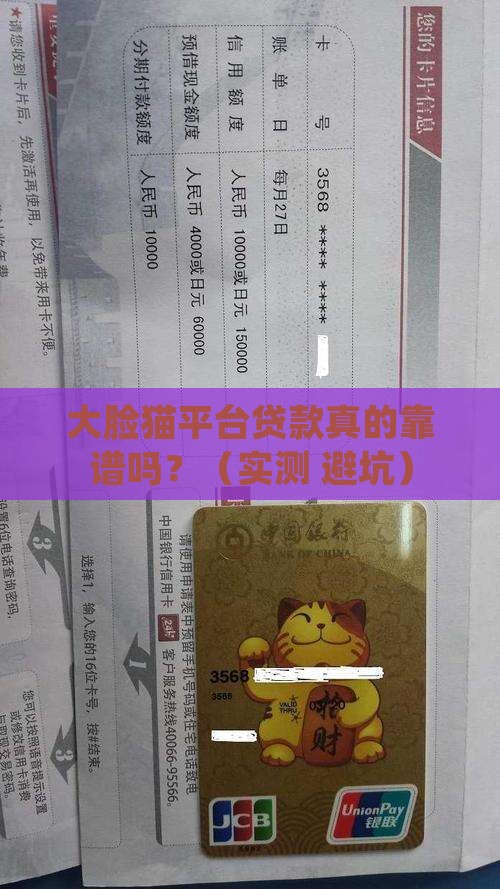 大脸猫平台贷款