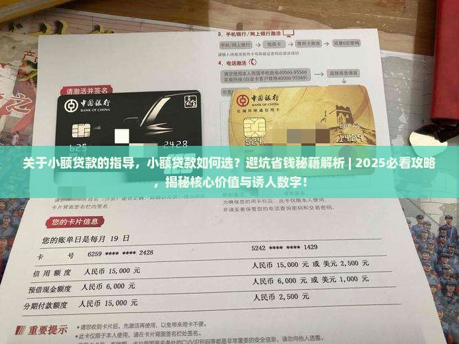 关于小额贷款的指导