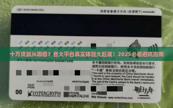 各个平台贷款了十万