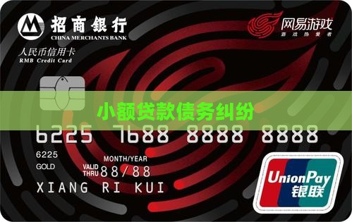 小额贷款债务纠纷