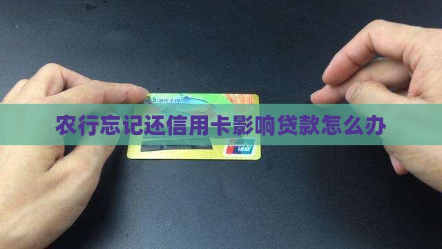 农行忘记还信用卡影响贷款怎么办