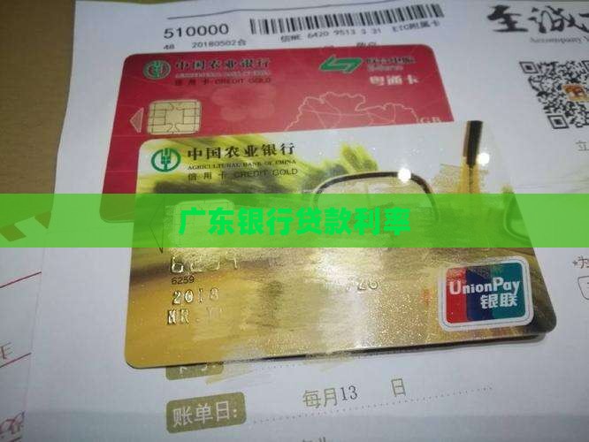 广东省小额贷款利率