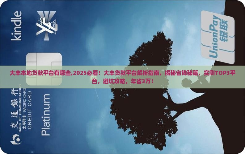 大丰本地贷款平台有哪些