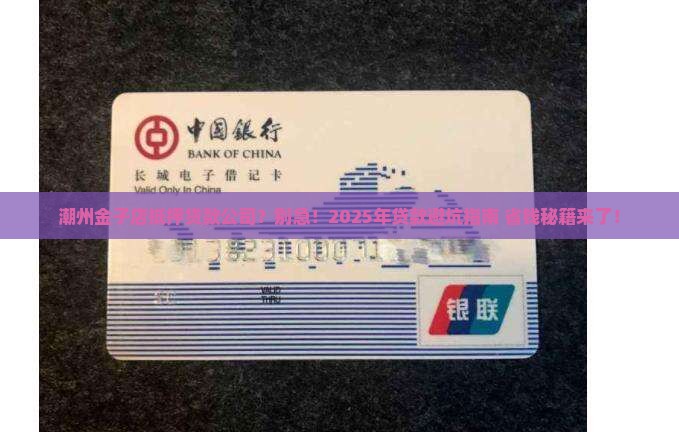 潮州金子店抵押贷款公司