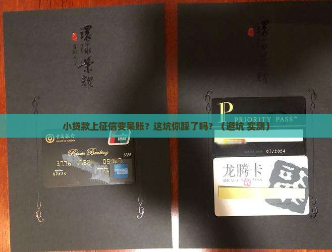 小贷款上征信呆账了