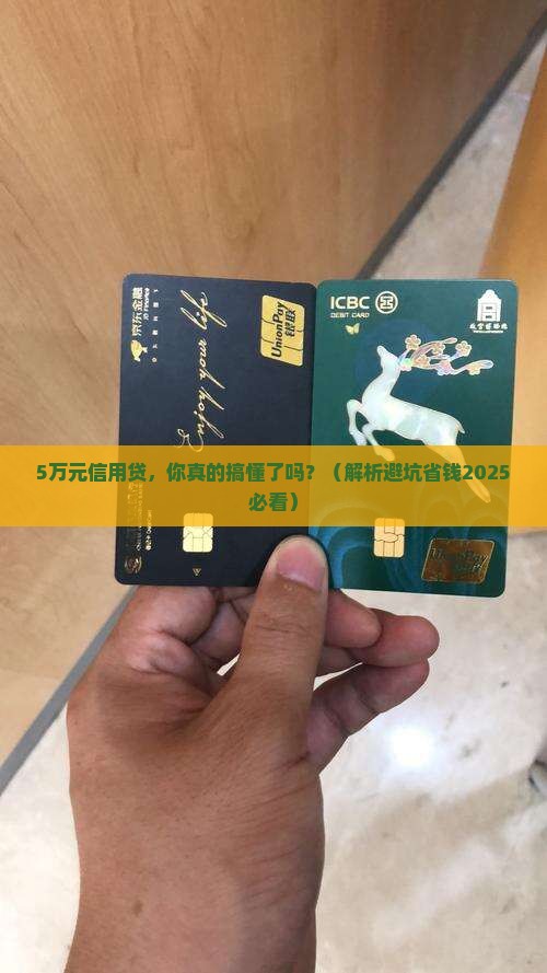 个人小额信用贷款5万元