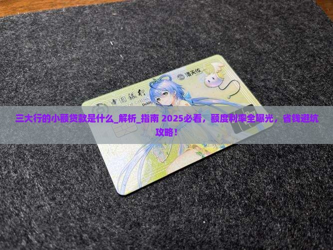 三大行的小额贷款是什么