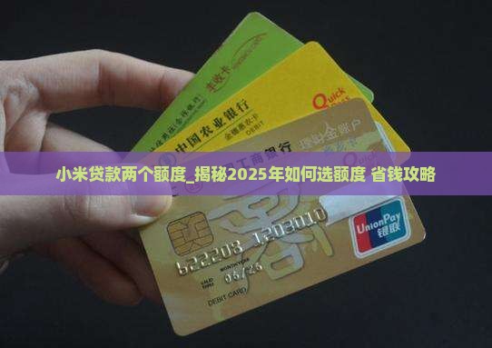 小米贷款两个额度 小米贷款两个额度