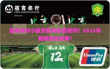 嘉禾农村小额贷款 嘉禾农村小额贷款