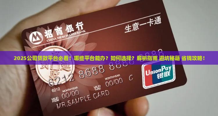 公司能办什么贷款平台呢