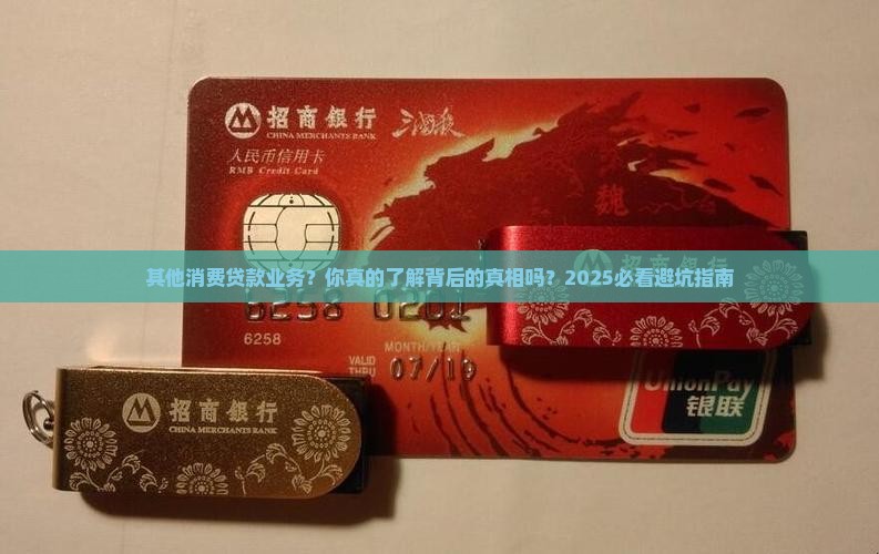其他消费贷款业务