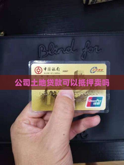 公司有贷款可以卖土地吗