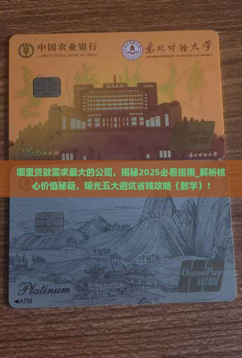 哪里贷款需求最大的公司