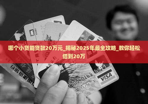 哪个小贷能贷款20万元 哪个小贷能贷款20万元