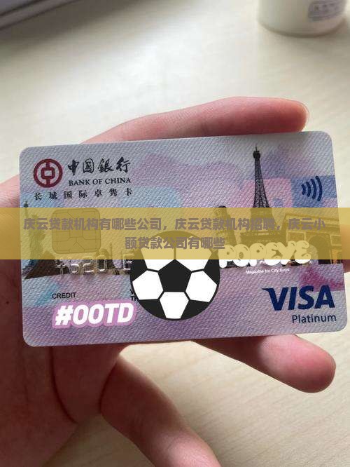 庆云贷款机构有哪些公司