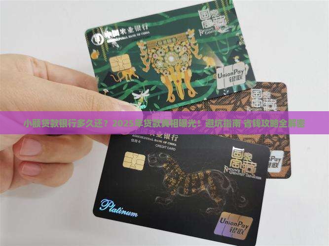 小额贷款银行多久还