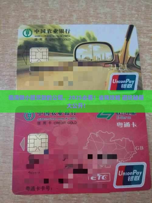 临清做小额贷款的公司