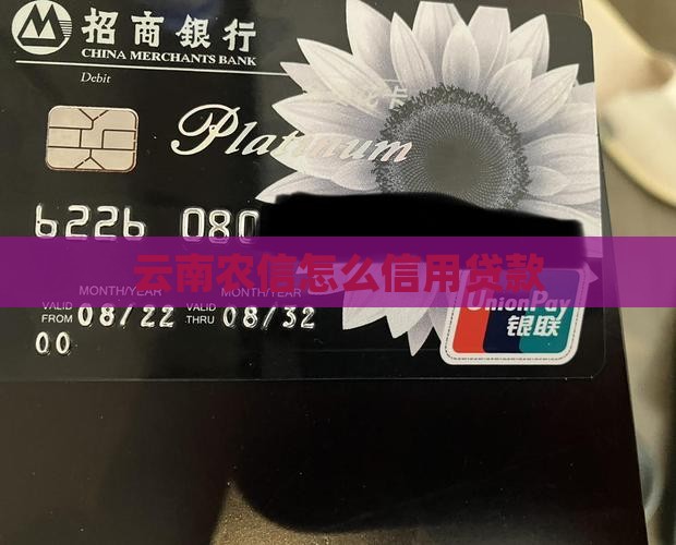 云南农信怎么信用贷款