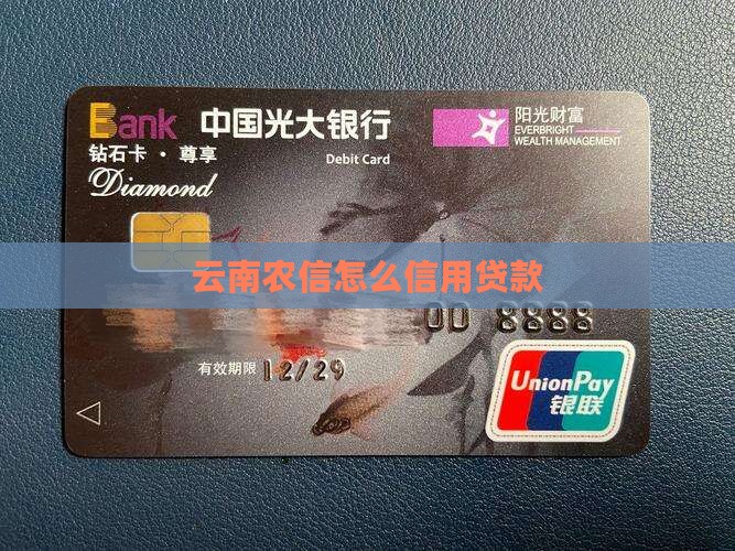 云南农信怎么信用贷款