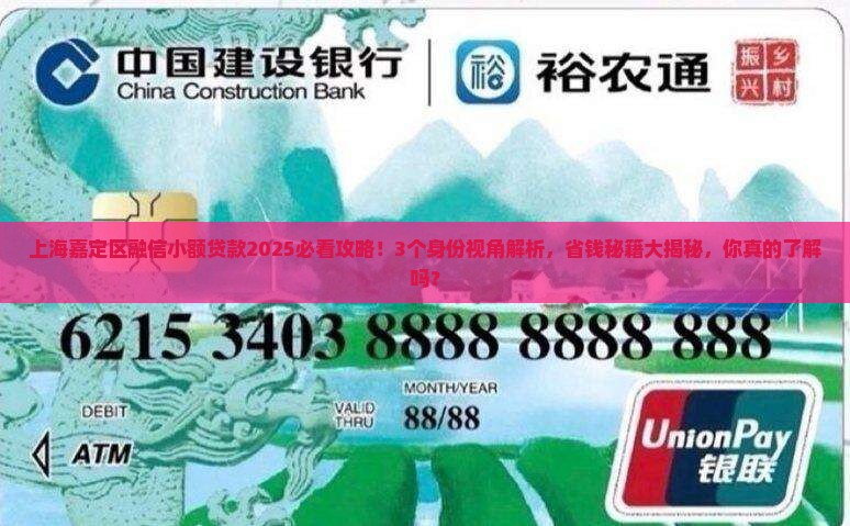 上海嘉定区融信小额贷款