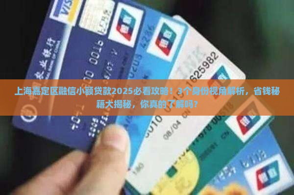 上海嘉定区融信小额贷款