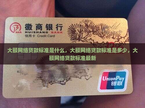 大额网络贷款标准