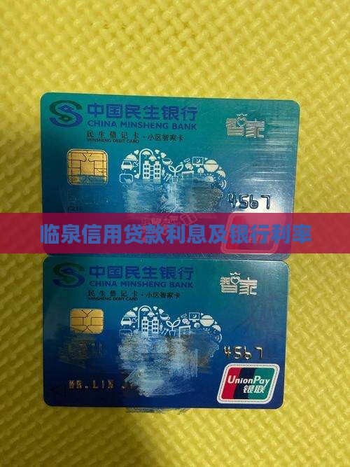 临泉信用贷款利息