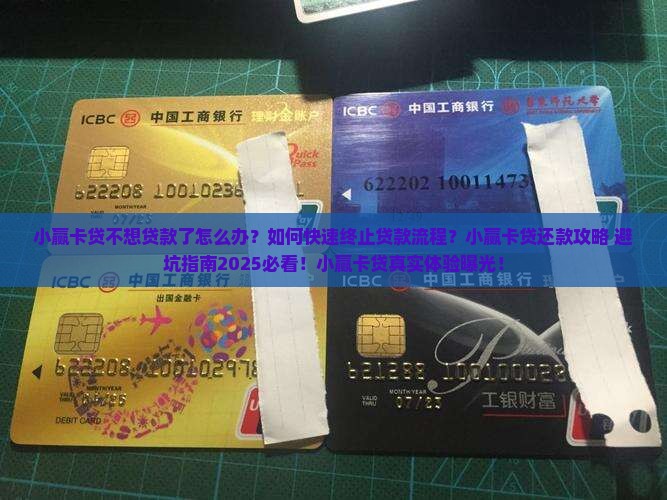 小赢卡贷不想贷款了