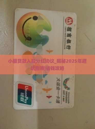 小额贷款入股分红协议