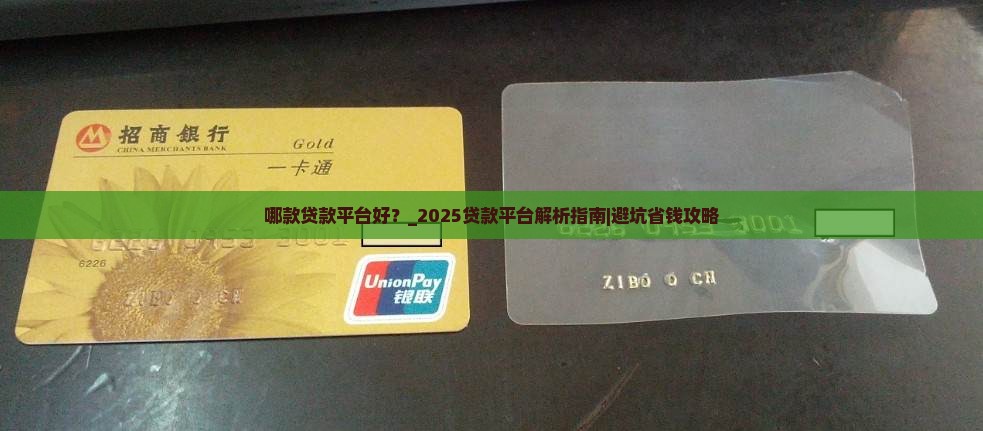 哪款贷款平台好