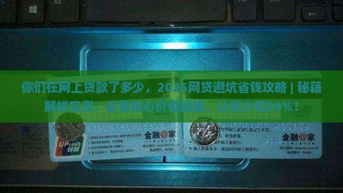你们在网上贷款了多少