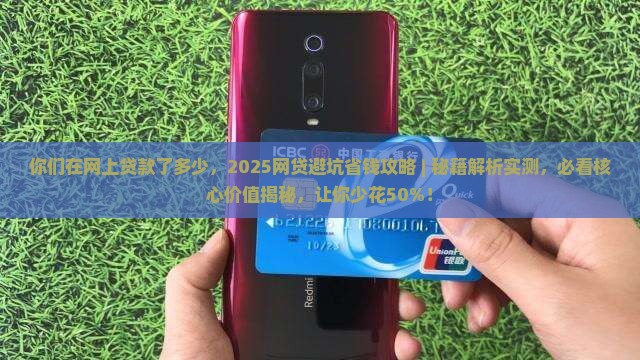 你们在网上贷款了多少