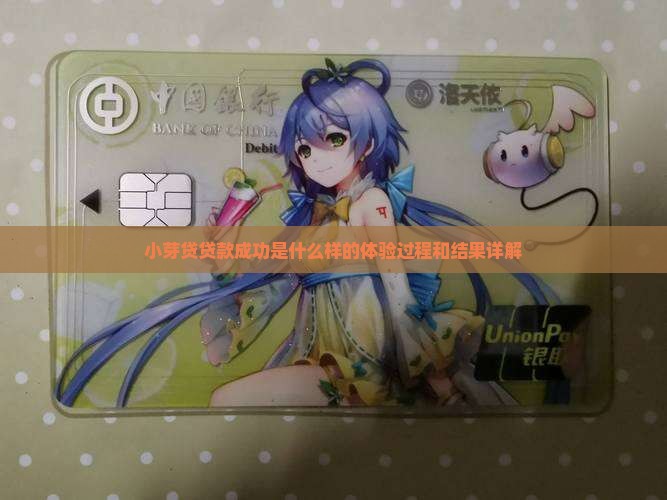 小芽贷贷款成功是什么样