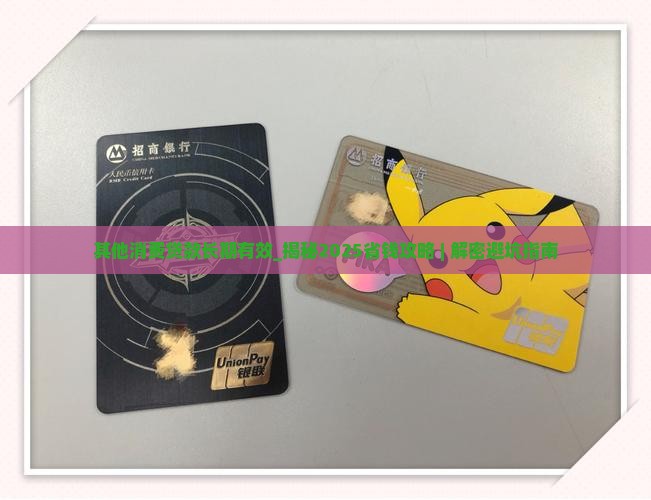 其他消费贷款长期有效