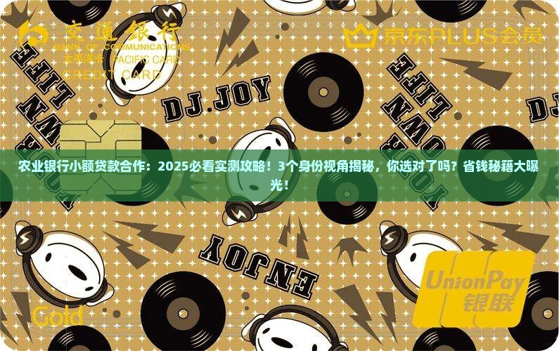 农业银行小额贷款合作
