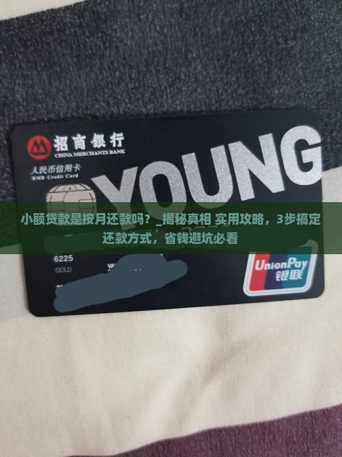 小额贷款是按月还款吗