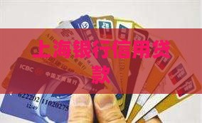 上海信用卡专营机构贷款