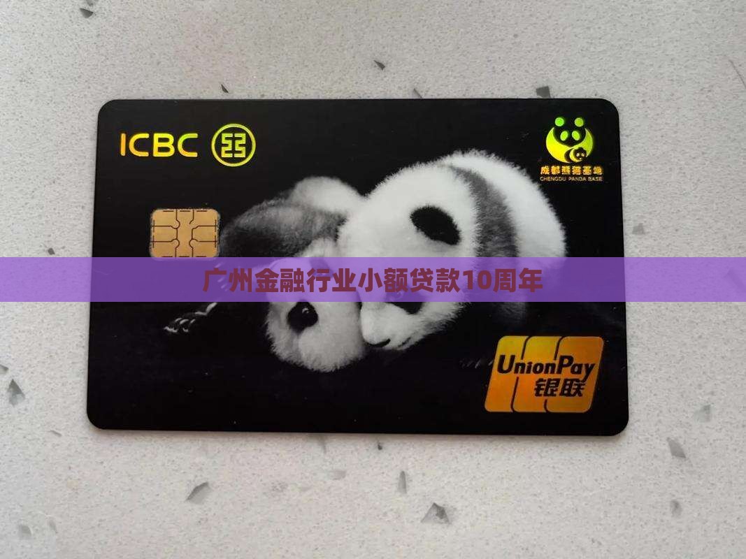 广州小额贷款10周年