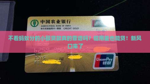不看蚂蚁分的小额贷款