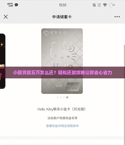 小额贷款五万怎么还