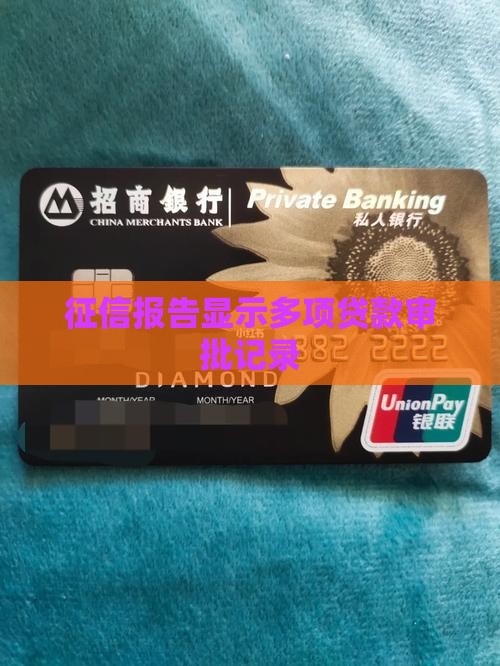 征信查出很多贷款审核