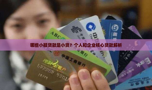 哪些贷款是小贷